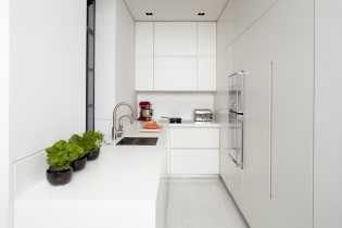 Fehér konyhai szett: választott jellemzők, kombináció, 70 fotó a belső térben